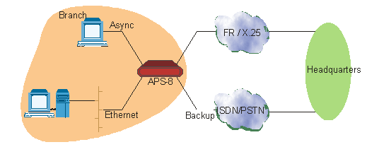Consolidating IP with RAD APS