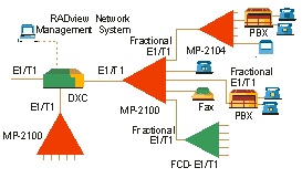 Megaplex coporate network application