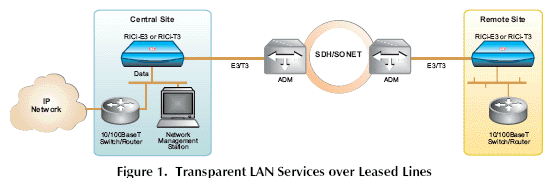 RICi-E3 Connects Fast Ethernet LANs over E3 circuits