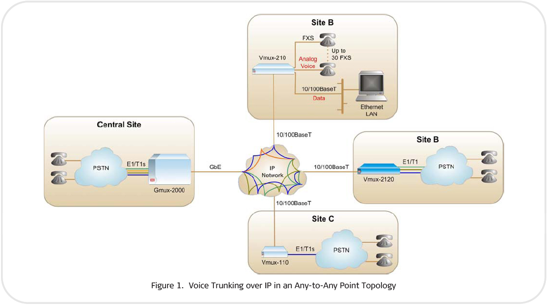 Vmux-2120 provides voice trunking over IP an an any point to any point application