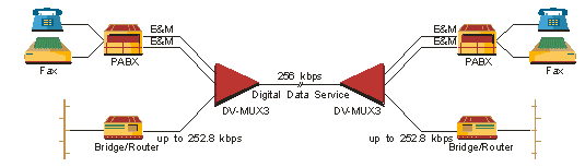 RAD DV-MUX3 application 1