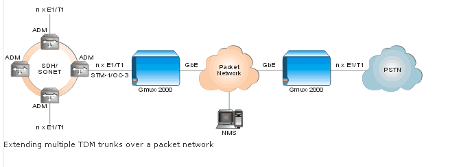 RAD Gmux-2000 on Backbone packet network - app 2