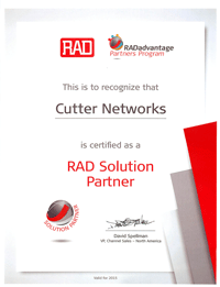 RAD Solutions Partner 2015