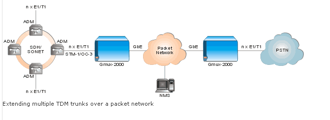 RAD Gmux-2000 on Backbone packet network  - app 2